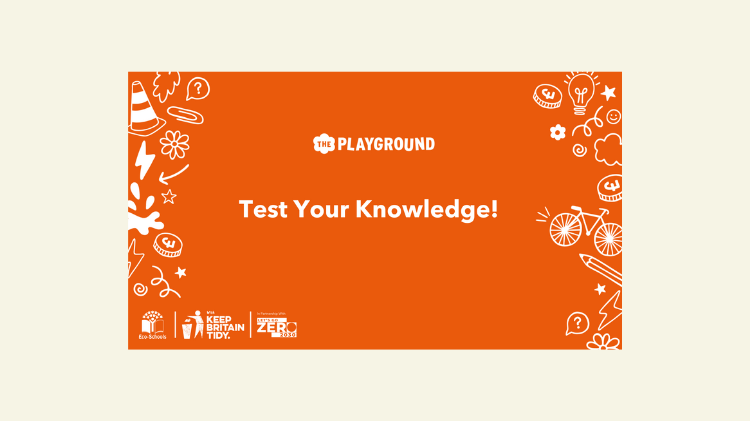 A screenshot of the title slide for the quiz. It has an orange background with white doodles type illustrations on each side. In the middle is a logo reading 'The Playground' and a title which says 'Test Your Knowledge!'.