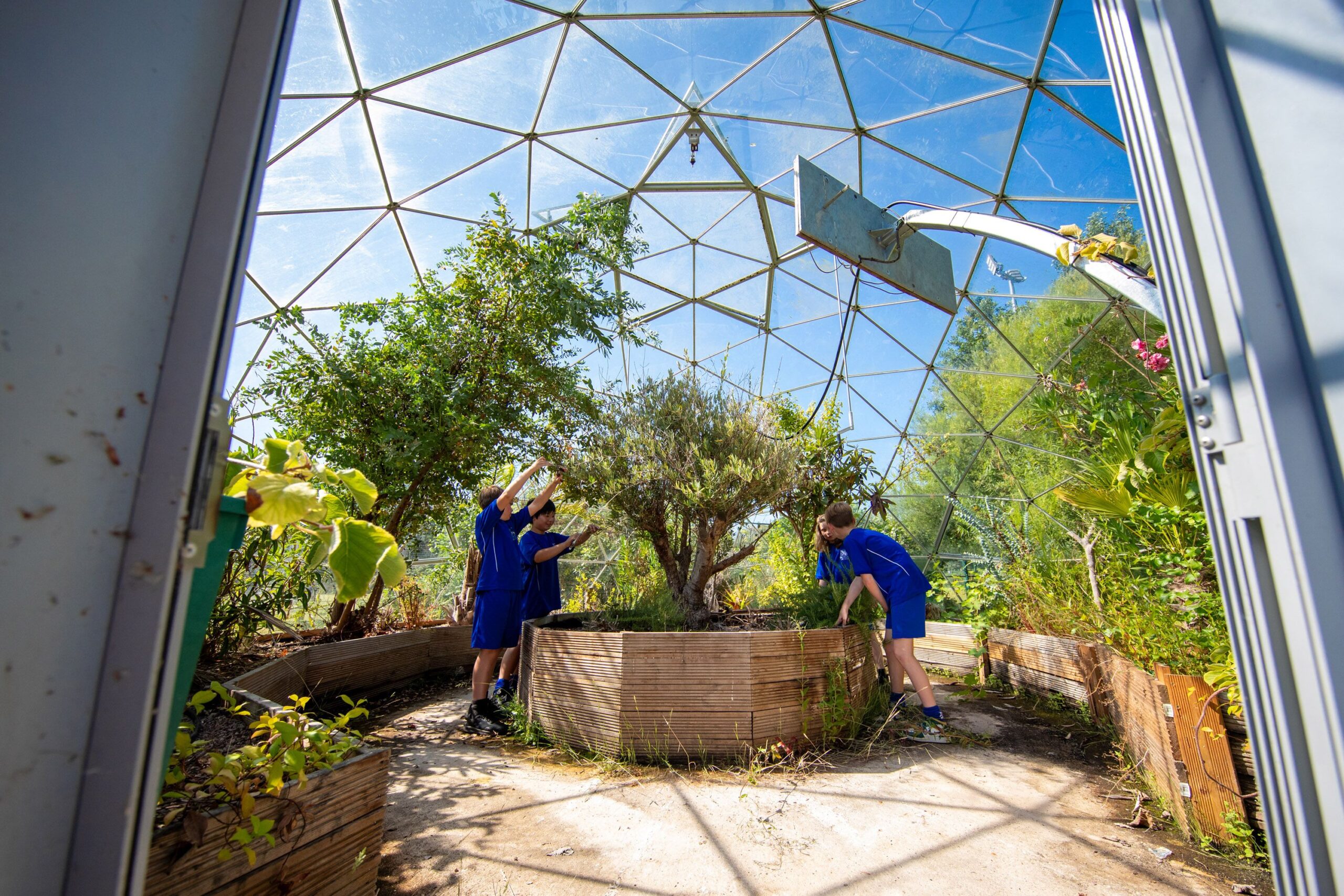 A small group of students in a large domed greenhouse.